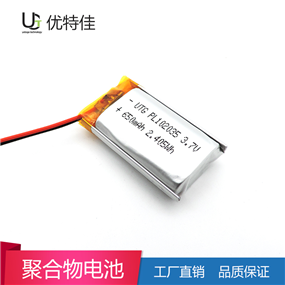 102035-650MAh