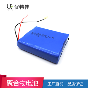 165565-2000mAh